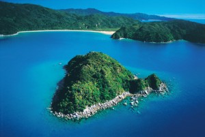 Tonga-Island-Picture